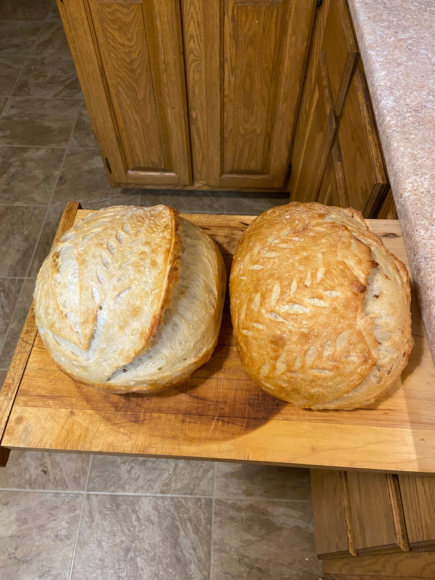 Dehydrated Sourdough Starter