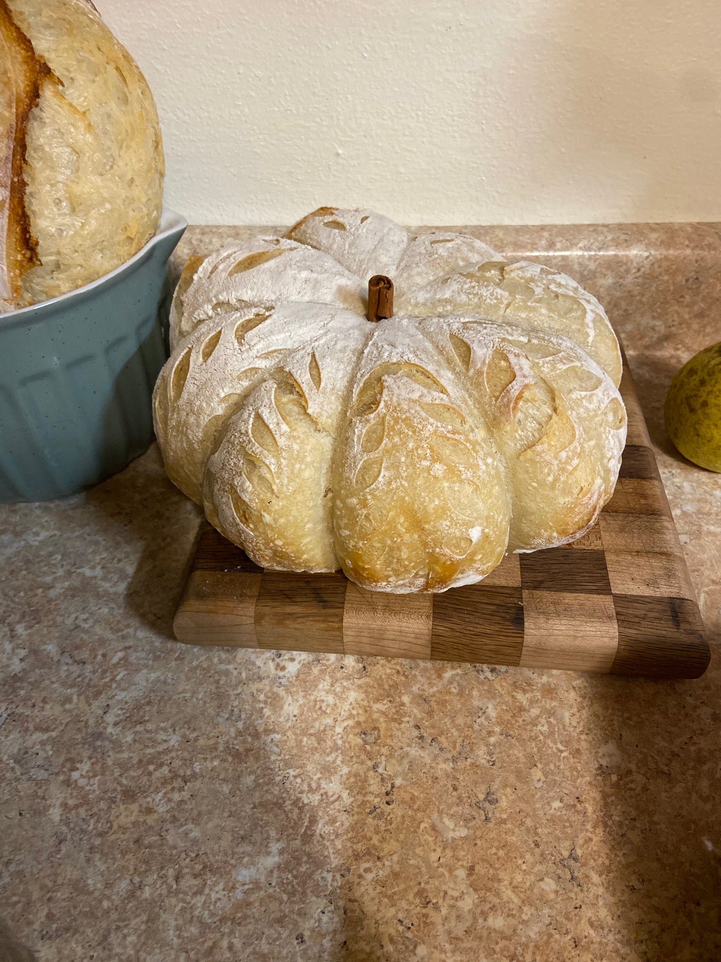 Dehydrated Sourdough Starter